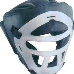 Head Protector