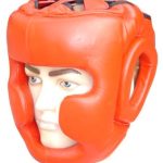 Head Protector