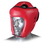Head Protector